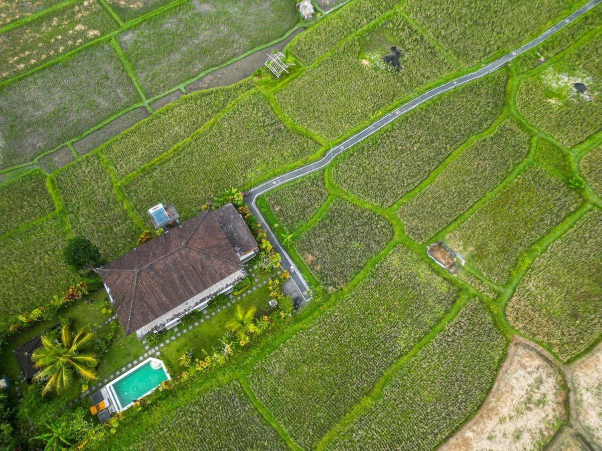 Buddha Homestay Ubud  Exterior photo