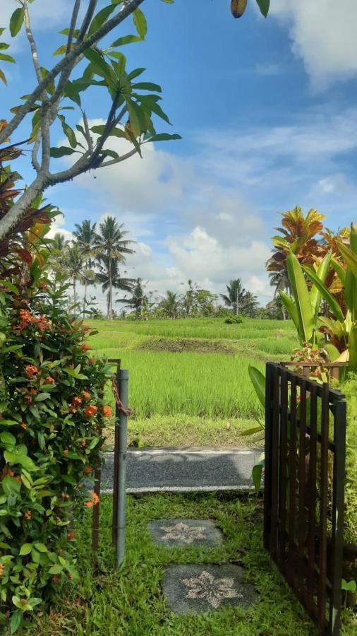 Buddha Homestay Ubud  Exterior photo